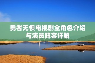 勇者无惧电视剧全角色介绍与演员阵容详解