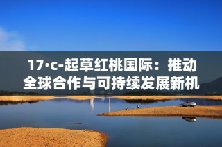 17·c-起草红桃国际：推动全球合作与可持续发展新机遇