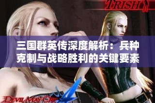 三国群英传深度解析：兵种克制与战略胜利的关键要素