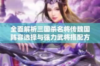 全面解析三国杀名将传魏国阵容选择与强力武将搭配方案