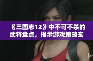 《三国志12》中不可不杀的武将盘点，揭示游戏策略玄机