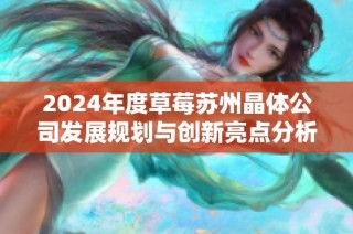 2024年度草莓苏州晶体公司发展规划与创新亮点分析