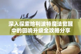 深入探索哈利波特魔法觉醒中的回响升级全攻略分享