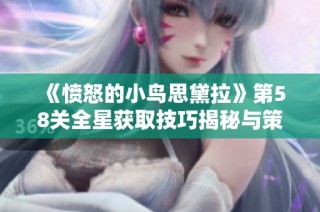 《愤怒的小鸟思黛拉》第58关全星获取技巧揭秘与策略分析