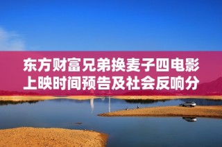 东方财富兄弟换麦子四电影上映时间预告及社会反响分析