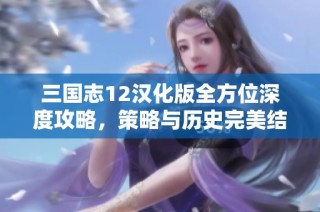 三国志12汉化版全方位深度攻略，策略与历史完美结合之旅