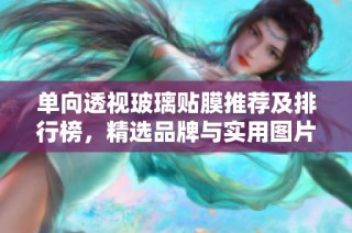 单向透视玻璃贴膜推荐及排行榜，精选品牌与实用图片呈现