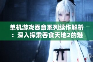 单机游戏吞食系列续作解析：深入探索吞食天地2的魅力与玩法
