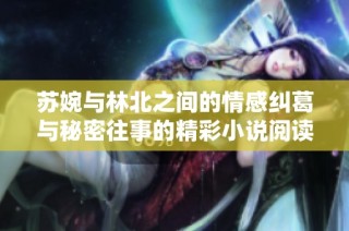 苏婉与林北之间的情感纠葛与秘密往事的精彩小说阅读推荐