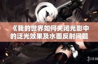 《我的世界如何关闭光影中的泛光效果及水面反射问题解析》