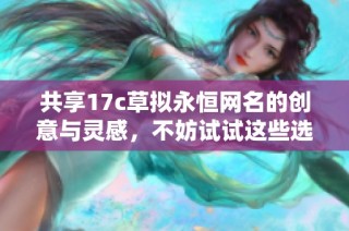 共享17c草拟永恒网名的创意与灵感，不妨试试这些选项
