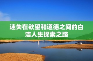 迷失在欲望和道德之间的白洁人生探索之路