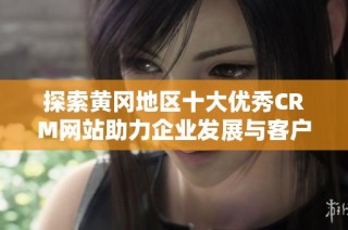 探索黄冈地区十大优秀CRM网站助力企业发展与客户管理
