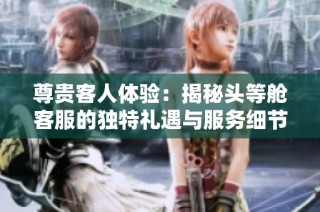 尊贵客人体验：揭秘头等舱客服的独特礼遇与服务细节