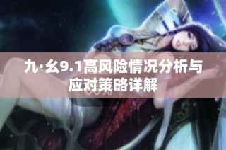 九·幺9.1高风险情况分析与应对策略详解