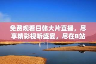 免费观看日韩大片直播，尽享精彩视听盛宴，尽在B站！