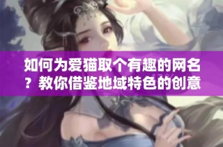 如何为爱猫取个有趣的网名？教你借鉴地域特色的创意方法