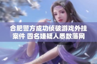 合肥警方成功侦破游戏外挂案件 四名嫌疑人悉数落网