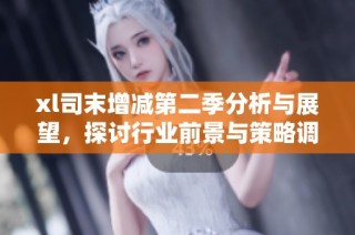 xl司末增减第二季分析与展望，探讨行业前景与策略调整
