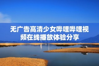 无广告高清少女哔哩哔哩视频在线播放体验分享