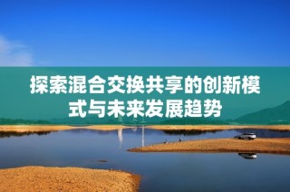 探索混合交换共享的创新模式与未来发展趋势