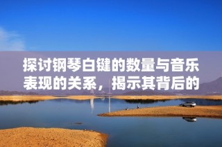 探讨钢琴白键的数量与音乐表现的关系，揭示其背后的奥秘