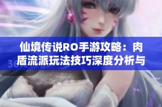 仙境传说RO手游攻略：肉盾流派玩法技巧深度分析与实用建议