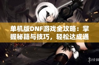 单机版DNF游戏全攻略：掌握秘籍与技巧，轻松达成通关目标