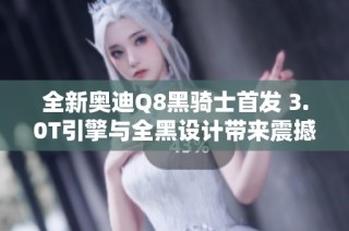 全新奥迪Q8黑骑士首发 3.0T引擎与全黑设计带来震撼视觉体验