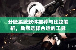 分账系统软件推荐与比较解析，助您选择合适的工具