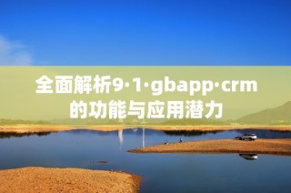 全面解析9·1·gbapp·crm的功能与应用潜力