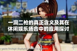 一洞二枪的真正含义及其在休闲娱乐场合中的应用探讨