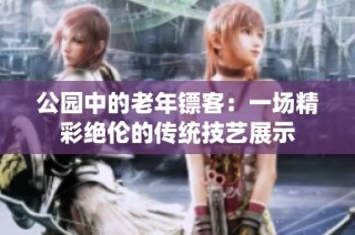 公园中的老年镖客：一场精彩绝伦的传统技艺展示