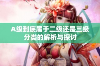 A级到底属于二级还是三级分类的解析与探讨