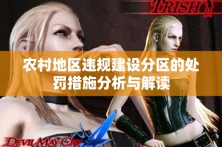 农村地区违规建设分区的处罚措施分析与解读