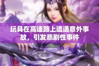 玩具在高速路上遭遇意外事故，引发悲剧性事件