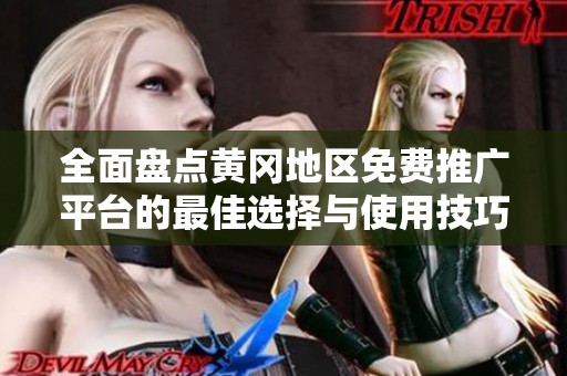 全面盘点黄冈地区免费推广平台的最佳选择与使用技巧