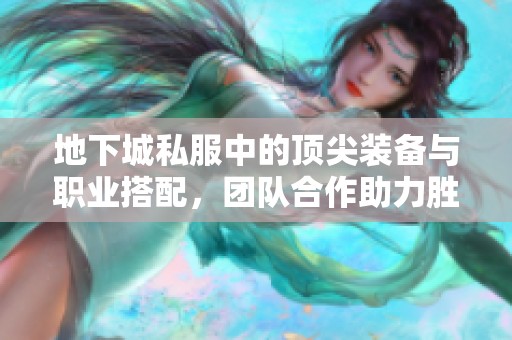 地下城私服中的顶尖装备与职业搭配，团队合作助力胜利之路