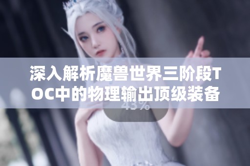 深入解析魔兽世界三阶段TOC中的物理输出顶级装备及其使用体验