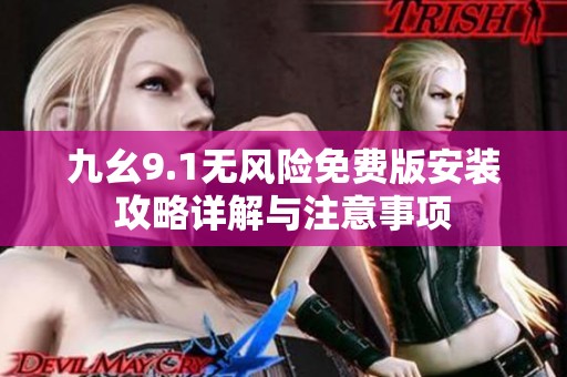 九幺9.1无风险免费版安装攻略详解与注意事项