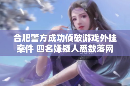 合肥警方成功侦破游戏外挂案件 四名嫌疑人悉数落网