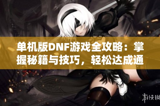 单机版DNF游戏全攻略：掌握秘籍与技巧，轻松达成通关目标